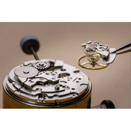 金属粉末注射成型技术在钟表行业的应用与发展